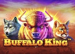 Buffalo King Legiano Casino Slot  Legiano Casino Online