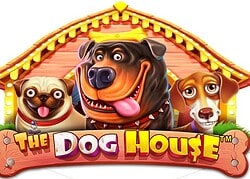 Dog House Legiano Casino Game  Legiano Casino Online